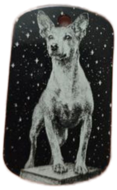 Ergebnis der Fotogravur auf eloxiertem Aluminium: Der Hund stehend auf einem Podest als hochwertiges Erinnerungs- und Gedenkstück.